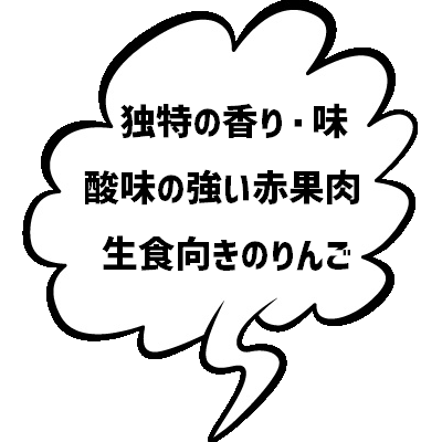 おすすめ
