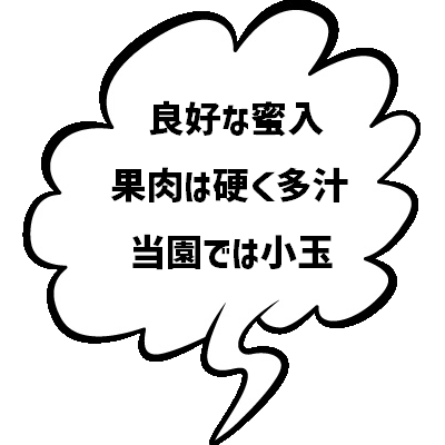 おすすめ