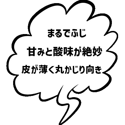 人気