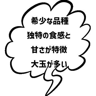おすすめ