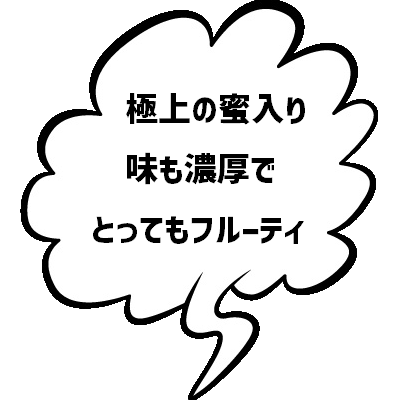 これから