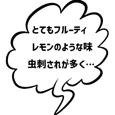 人気
