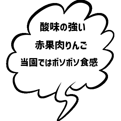 おすすめ