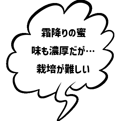 これから