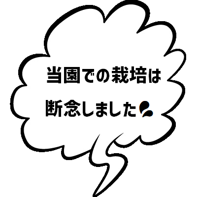 これから