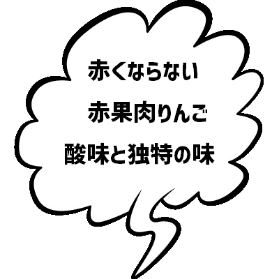 おすすめ